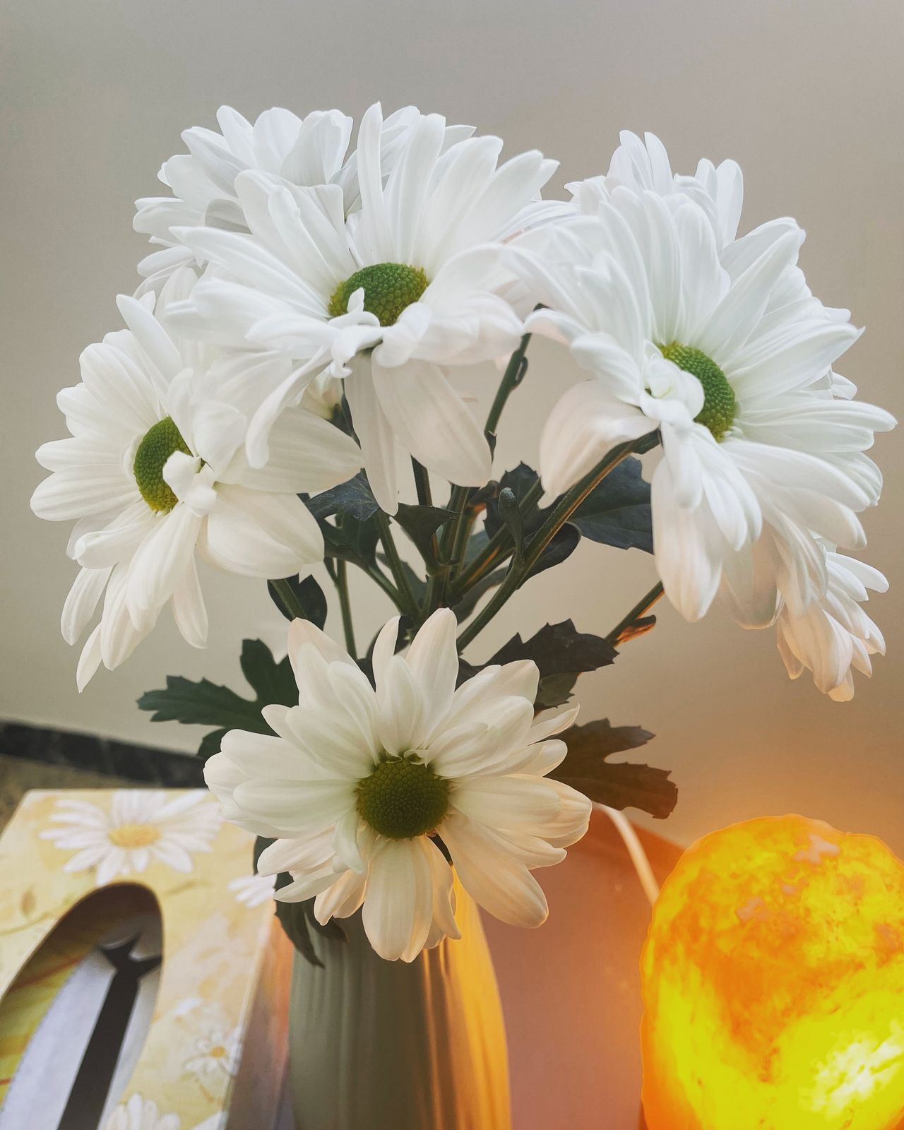 Patricia Gutiérrez Isla-29