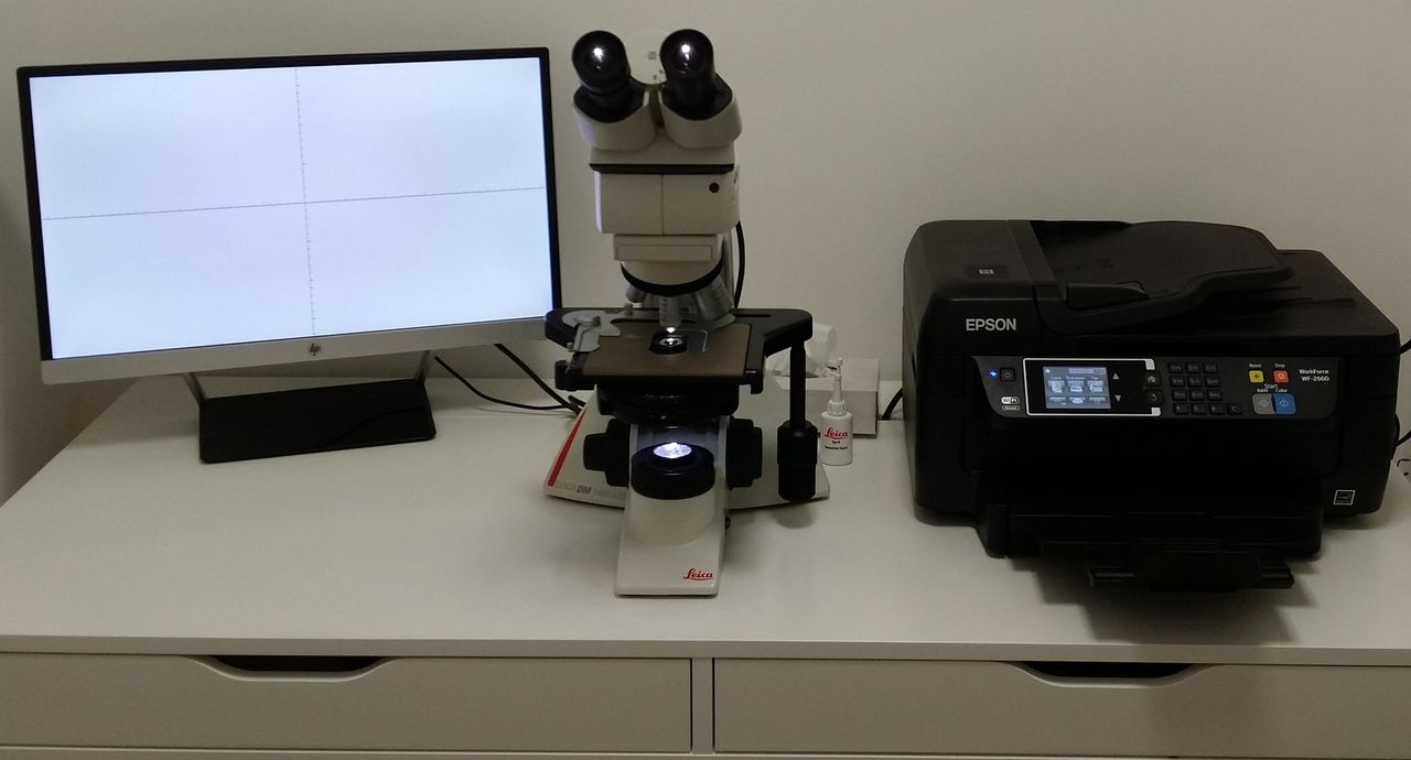 Stefano Maria Serini-3