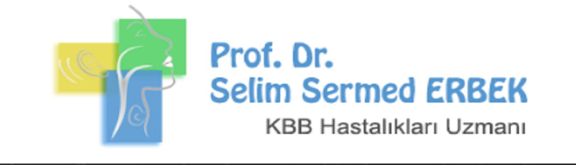 Selim Sermed Erbek-3