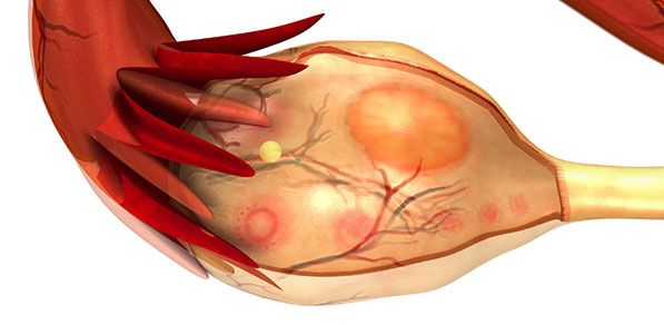 Francesca Sagnella-4