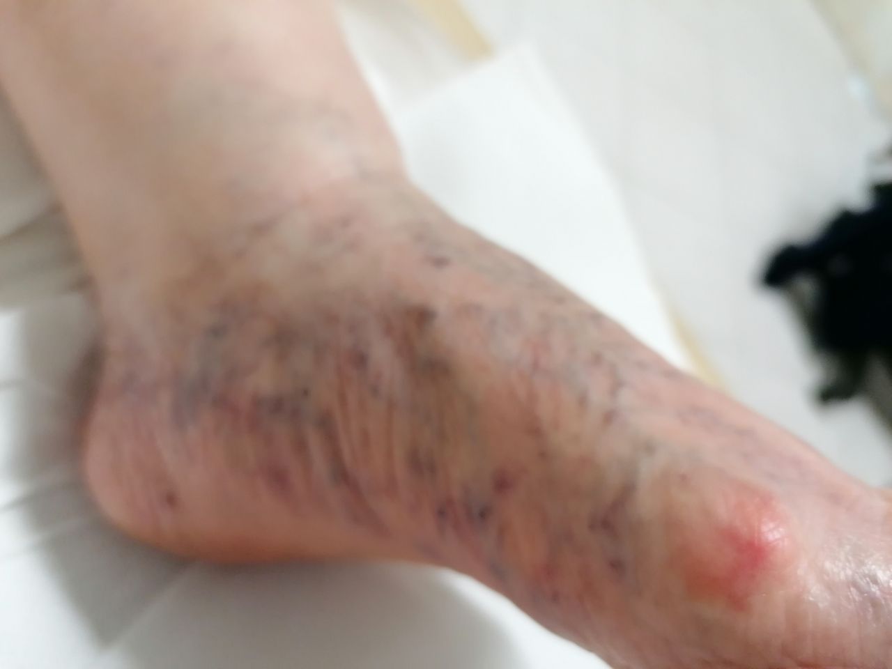 Kassandra Nicolosi-92