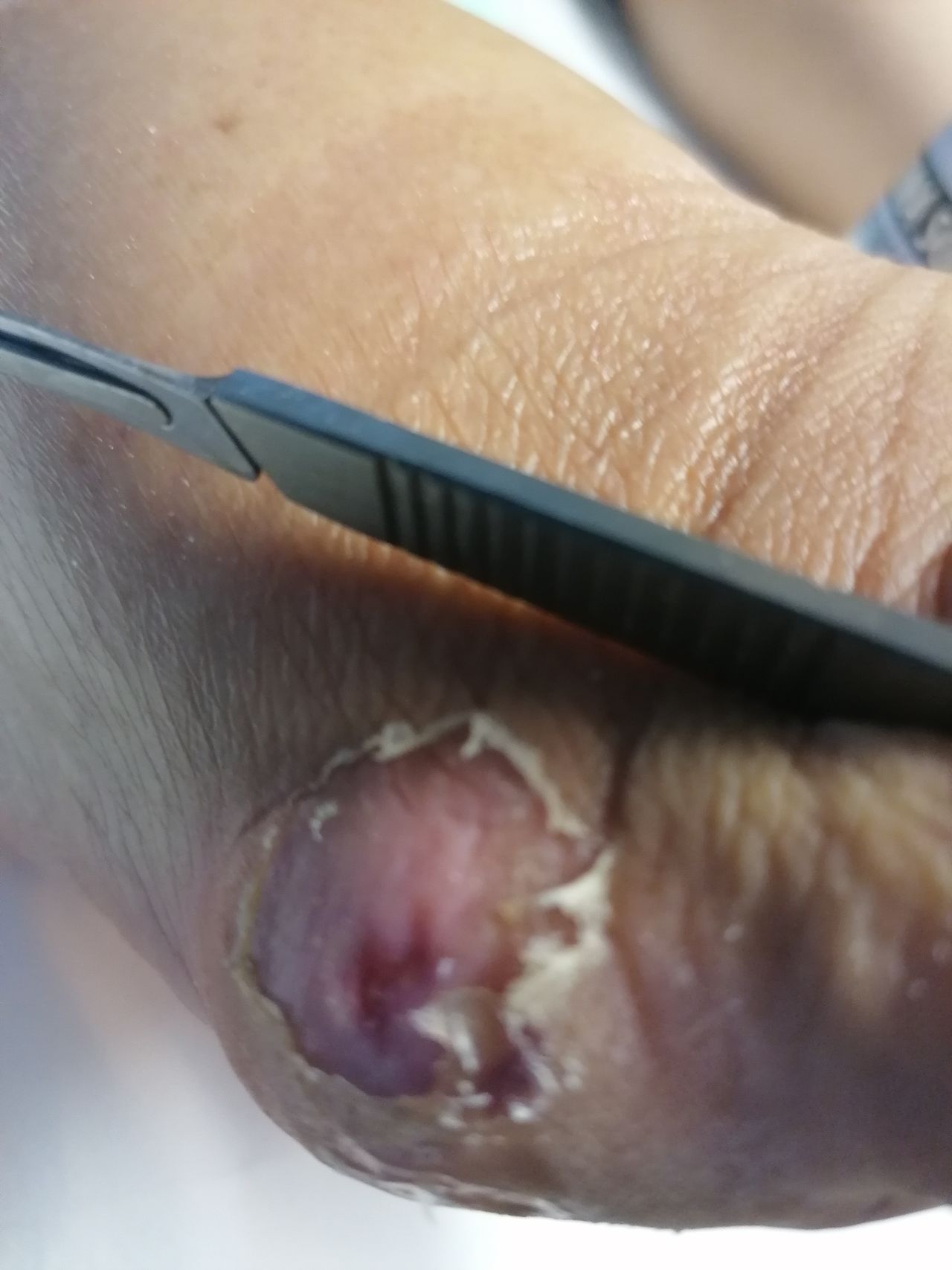 Kassandra Nicolosi-15