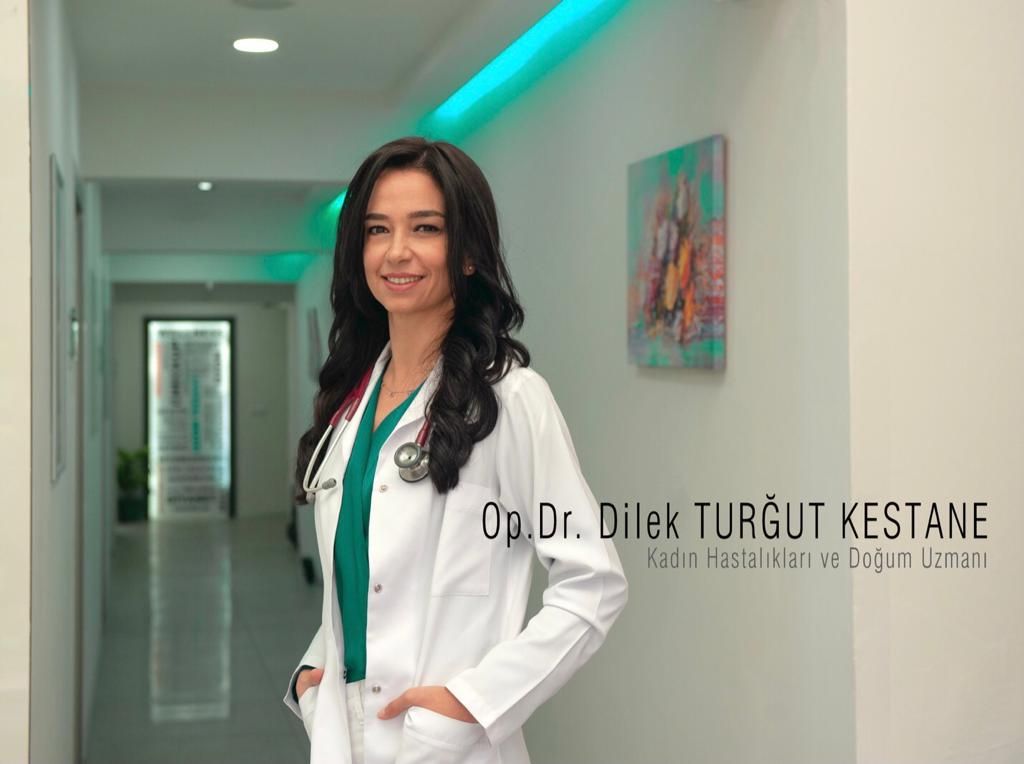 Dilek Turğut Kestane-1