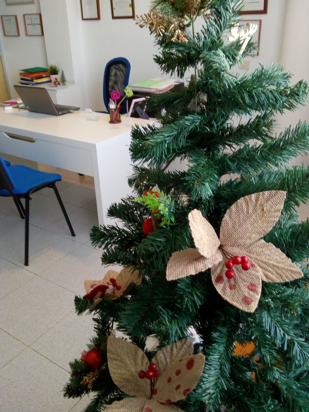 Naya Ibañez De Leon-10