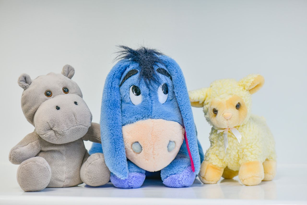 Bogumiła Jankowska-15