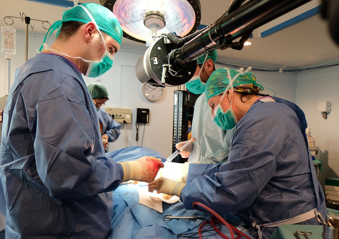 Josep Torremadé Barreda-6