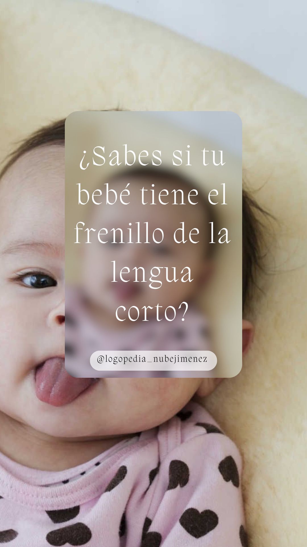 Nube Jiménez Palma-4
