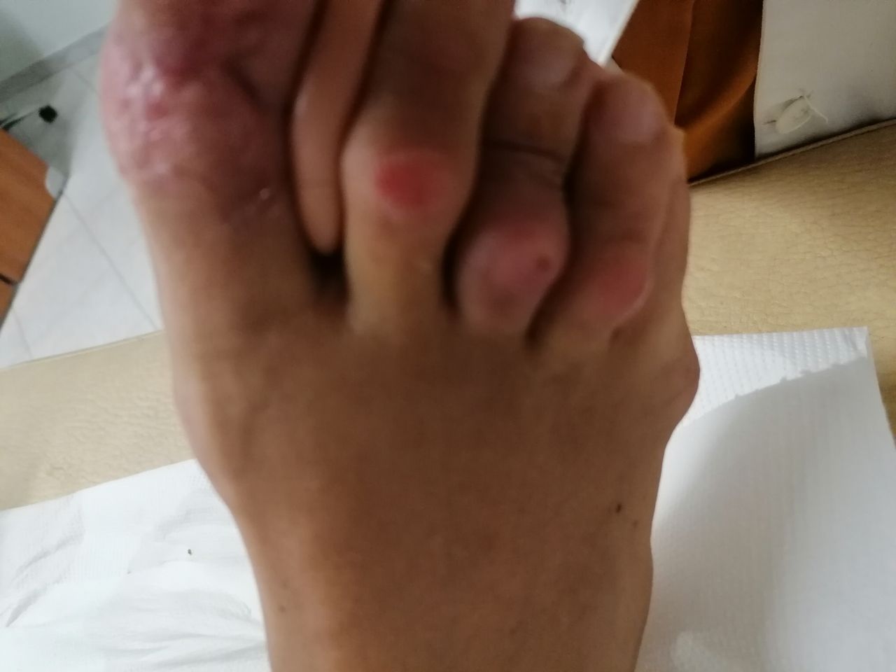 Kassandra Nicolosi-242