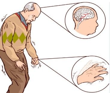 Filippo Martinelli Boneschi-0