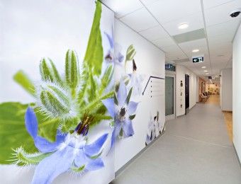 Monika Maciejewska-Marciniak-6