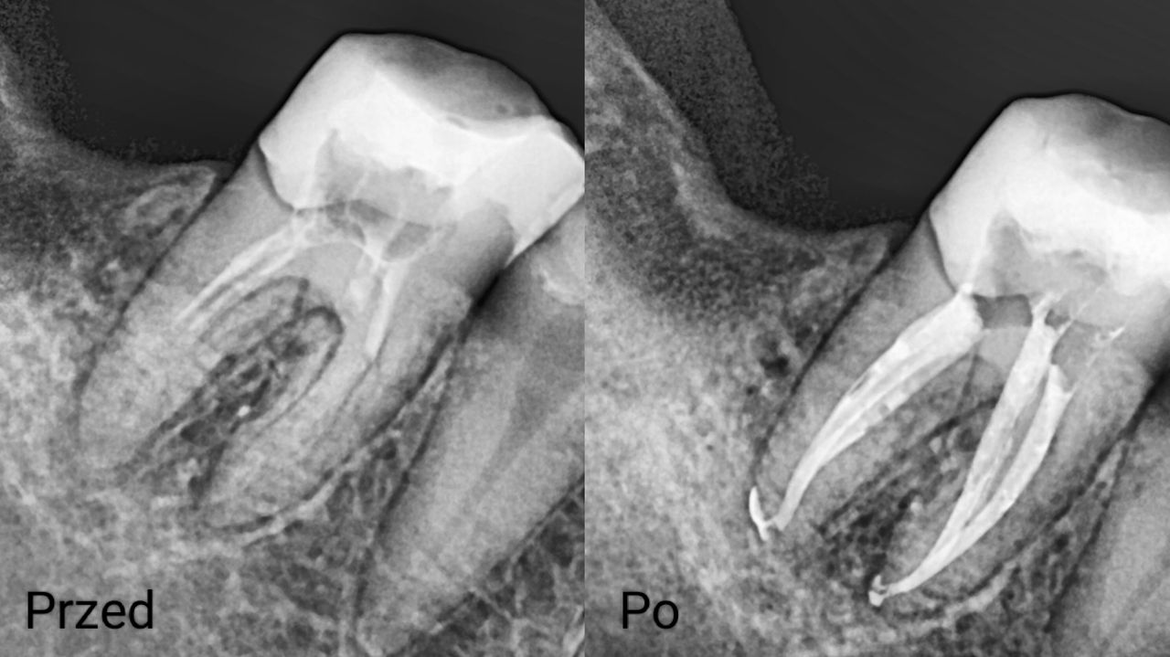 Aleksandra Bobrovskaya-3