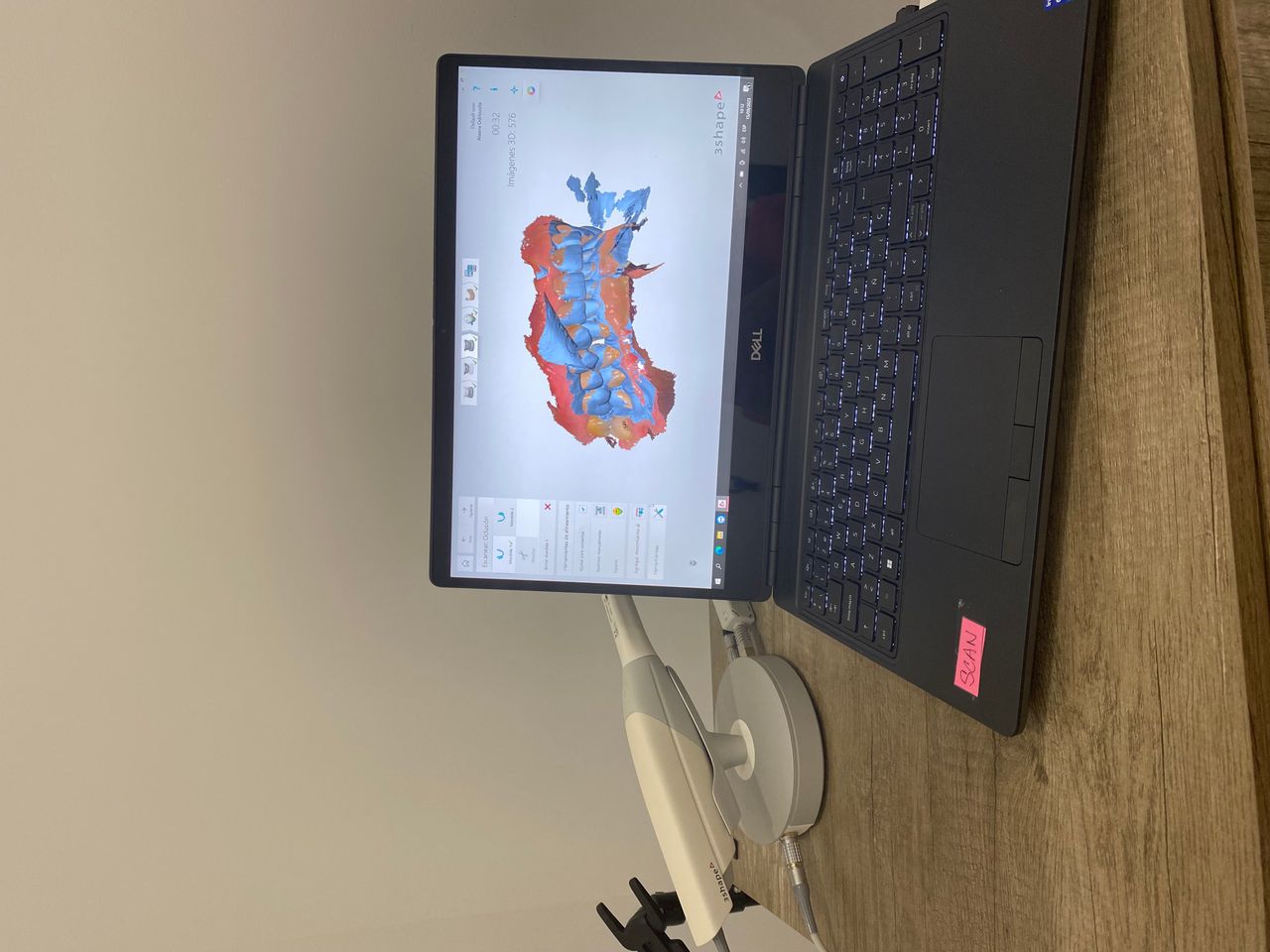 Silvia Fernandes Rodrigues-3