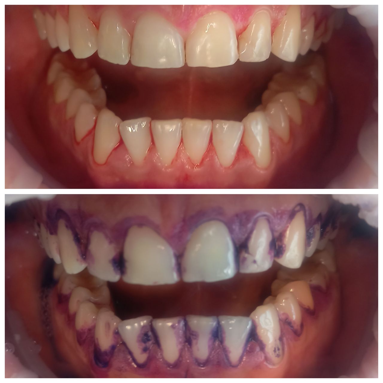 Monika Dymińska Markiewicz-2