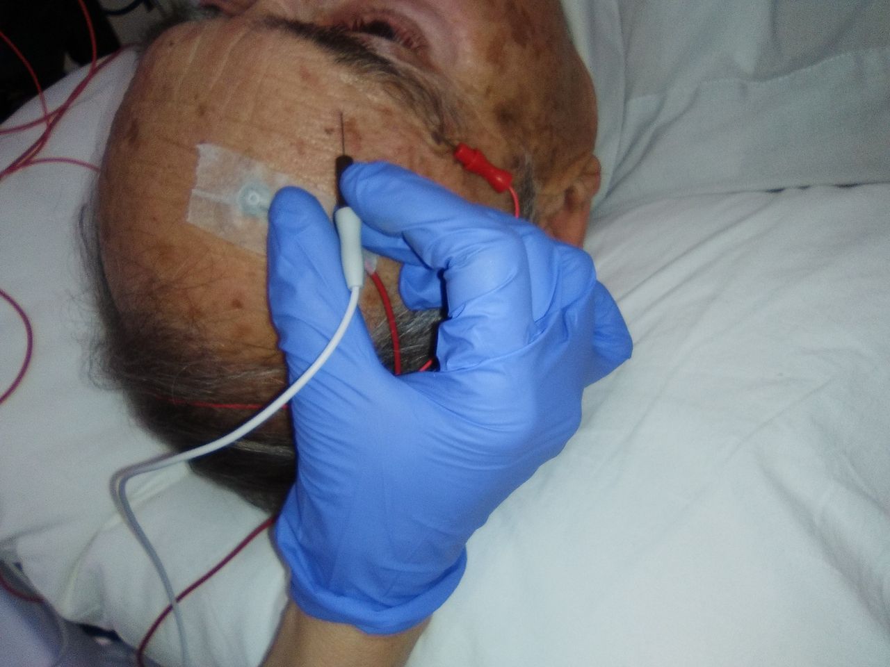 Mª Angeles Idiazábal Alecha-20