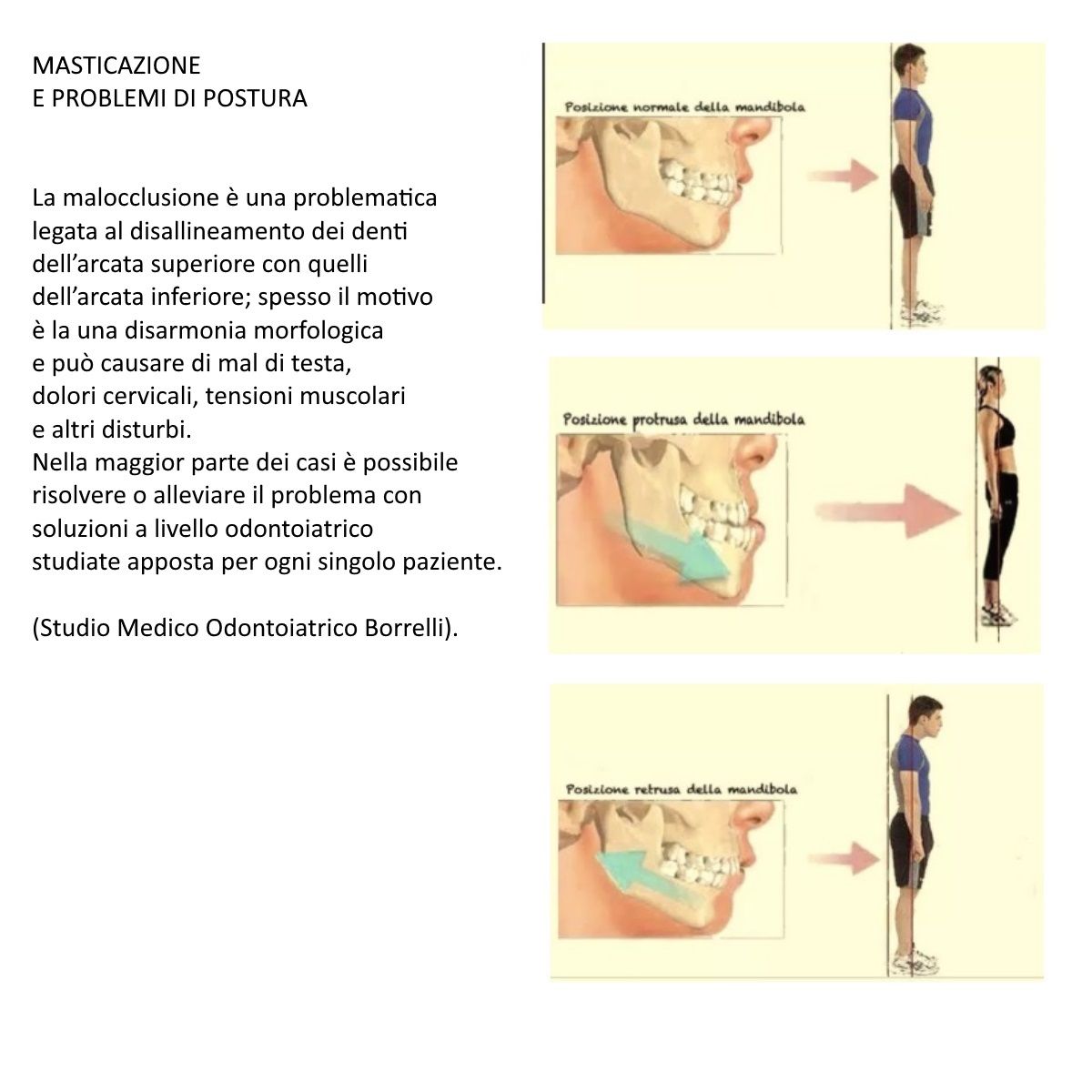 Michelina Borrelli-11