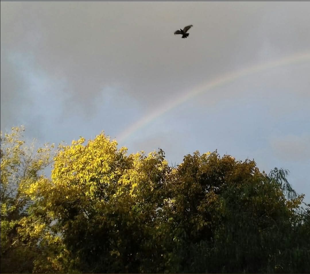 Michele Locuratolo-3