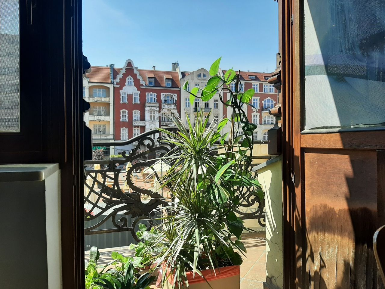 Grażyna Andruszkiewicz-41