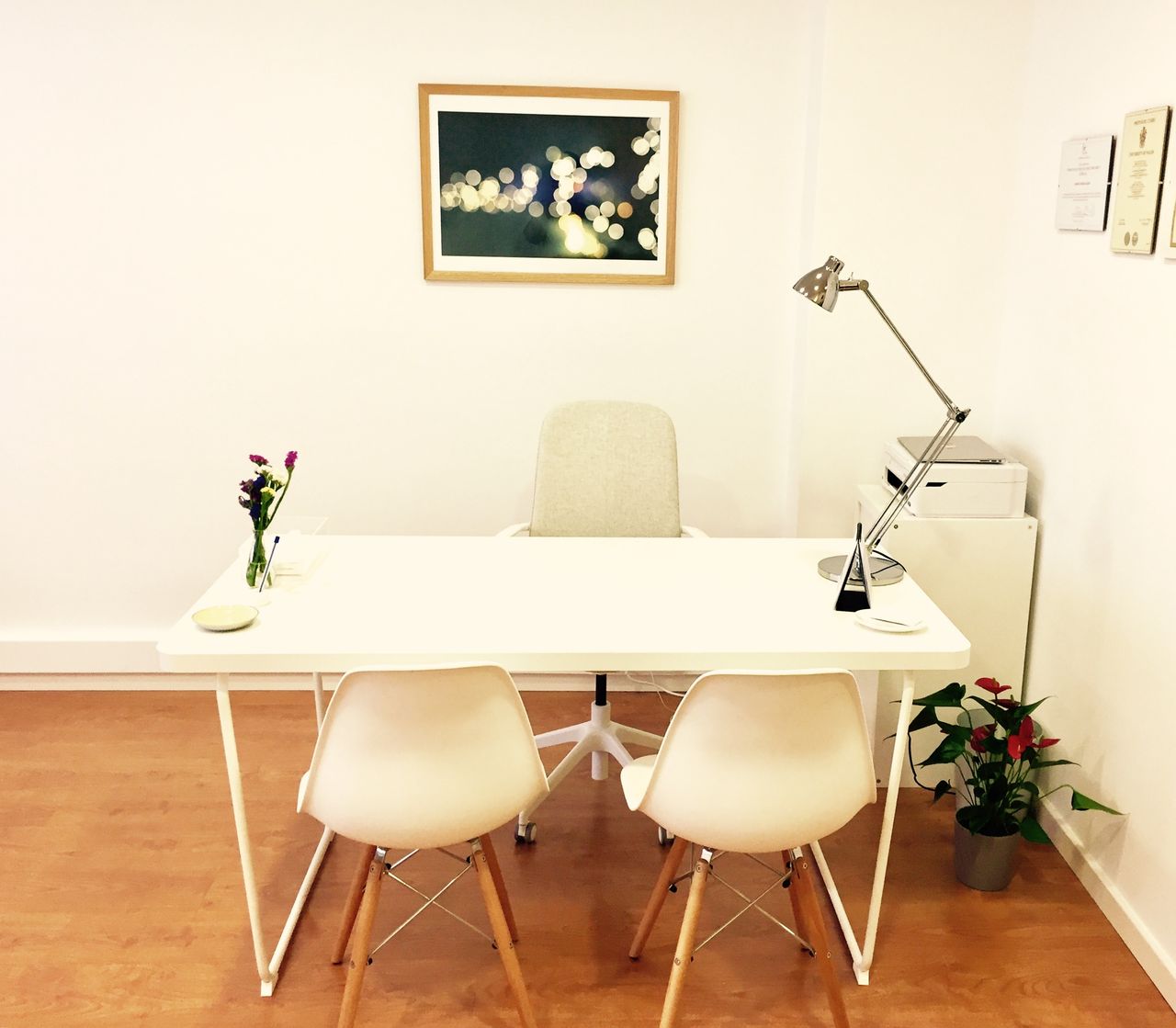 Ainhoa Goenaga Alzuri-4