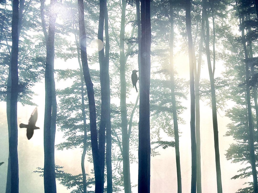 Alba Romero Alifa-34