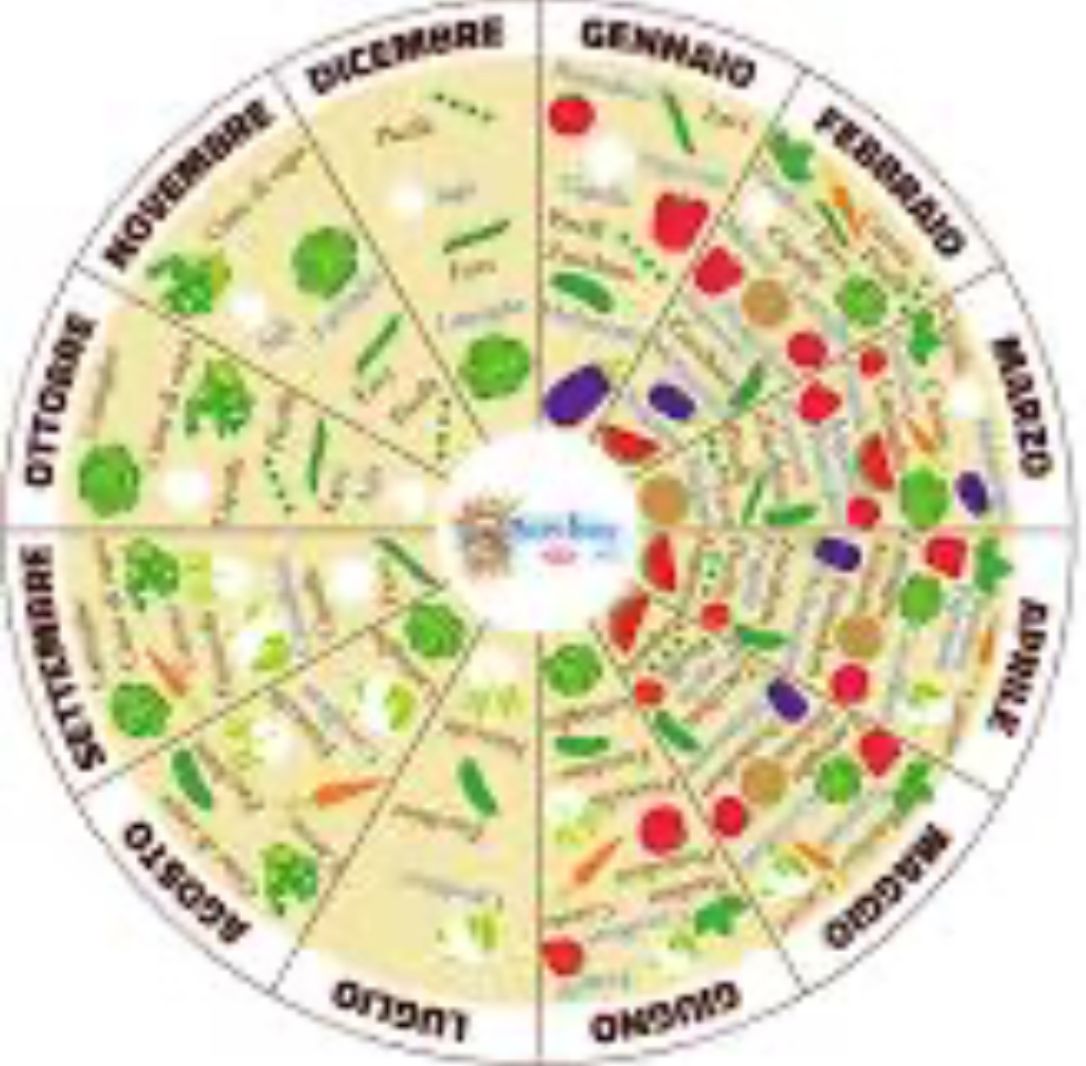 Valentina D’onorio De Meo-12