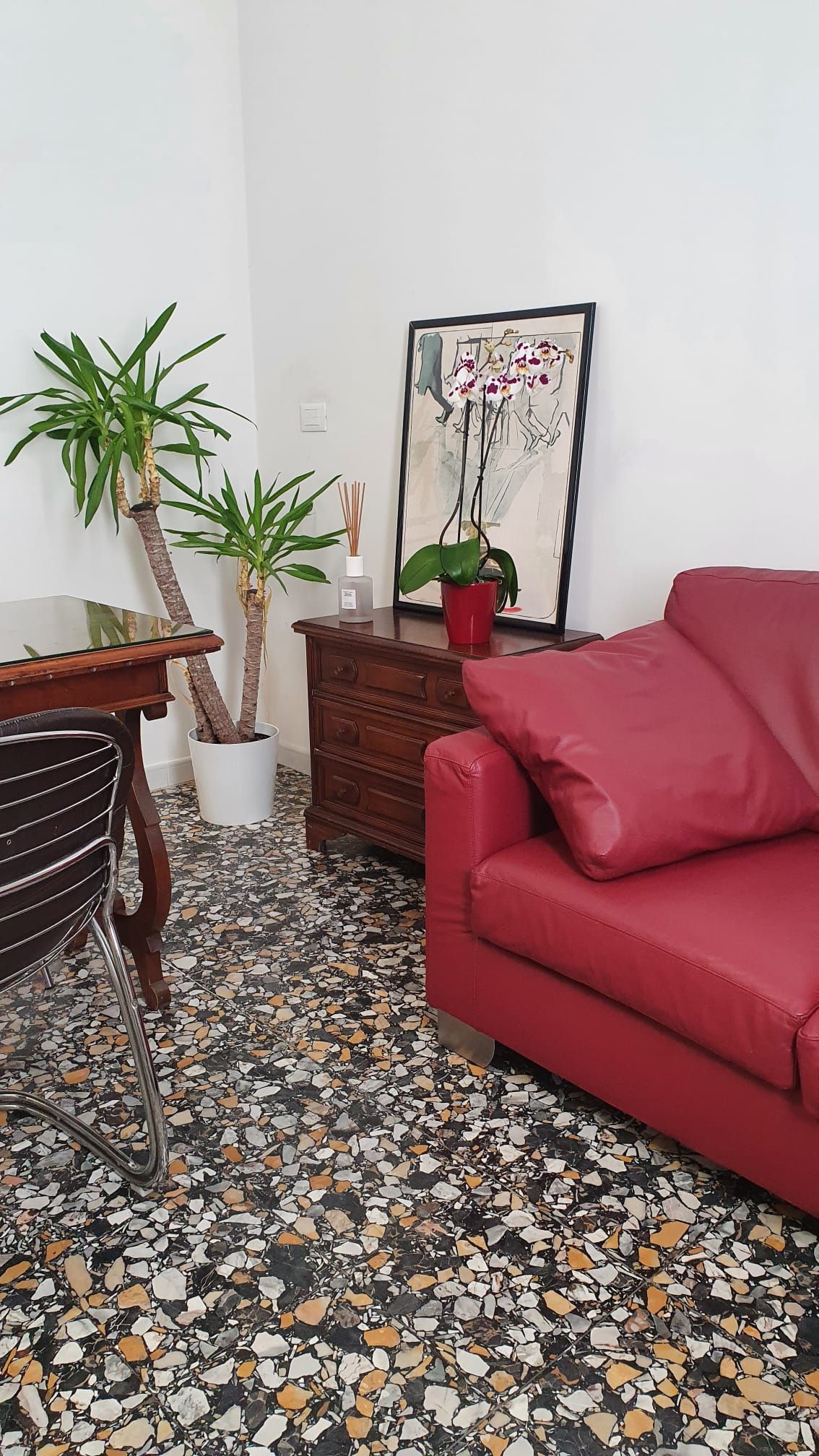 Carolina Delvecchio-1