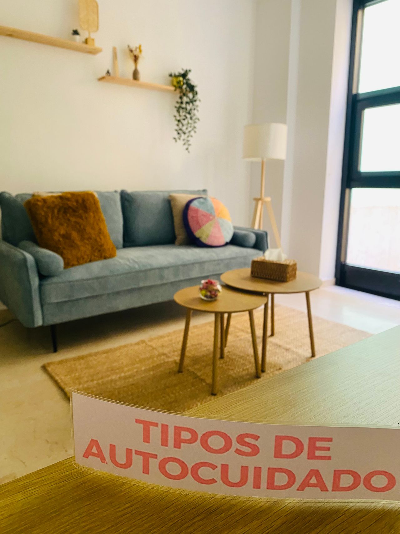 Virginia Navarro Sánchez-4