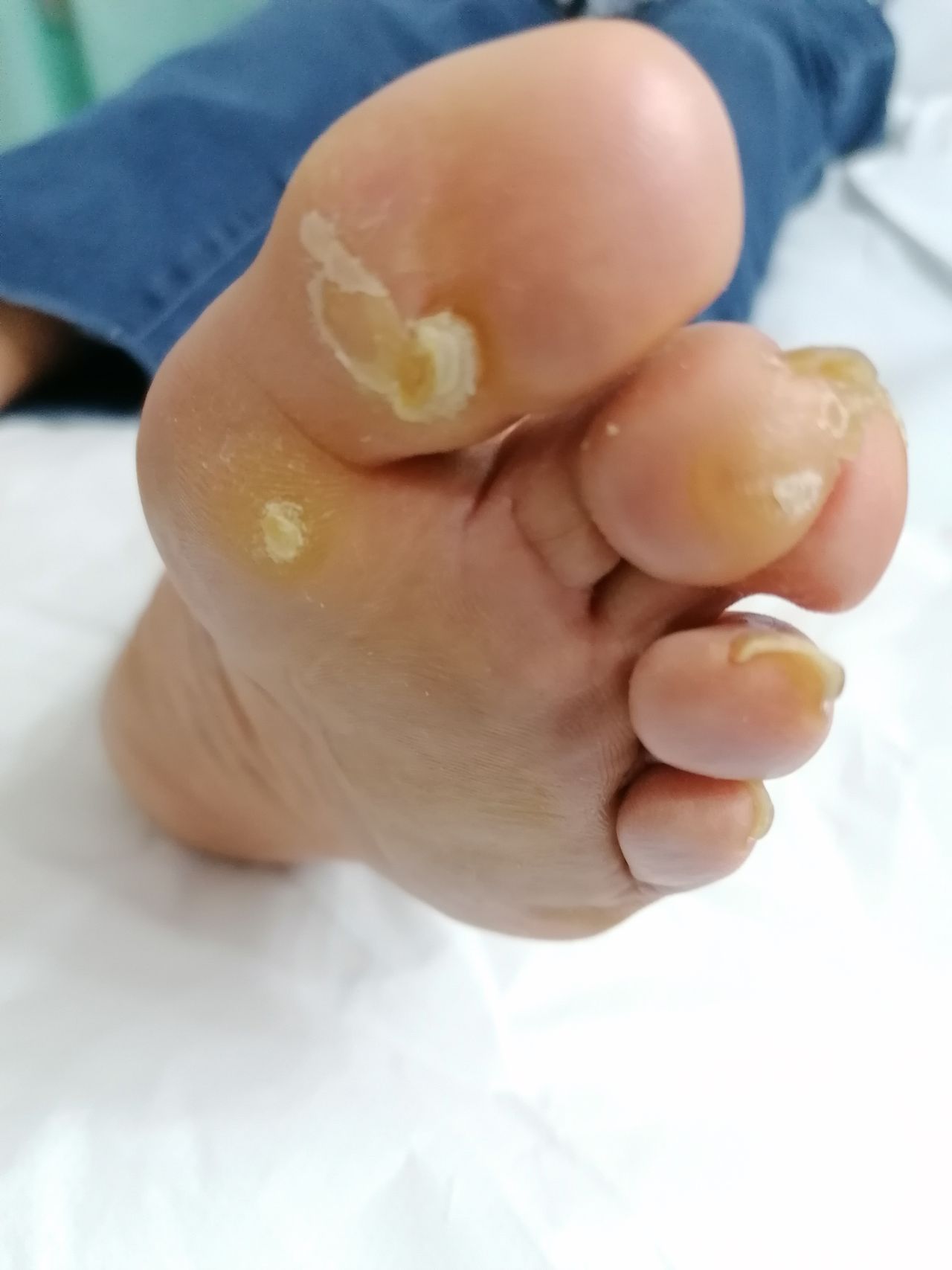 Kassandra Nicolosi-26