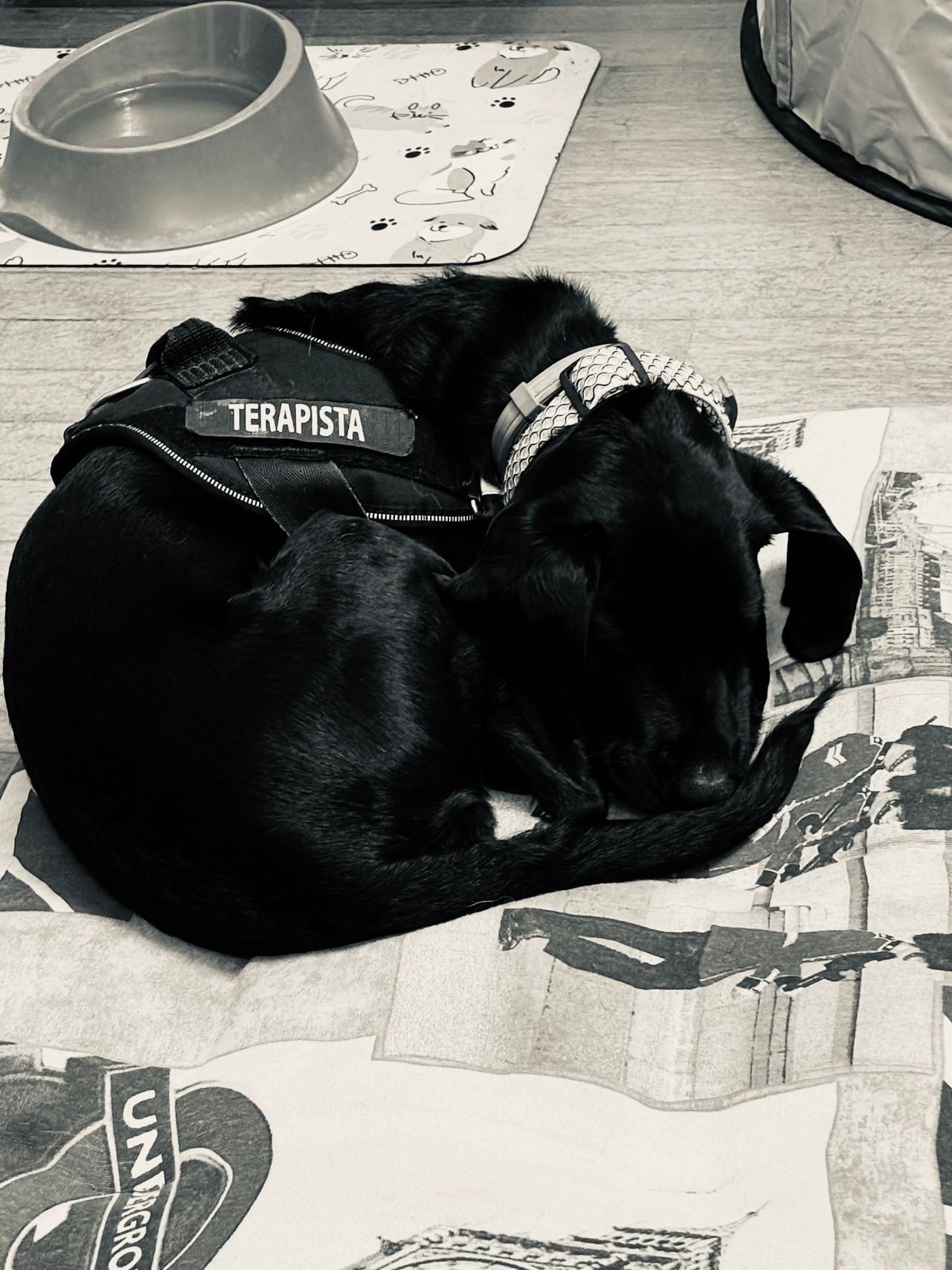 Raffaella Crinelli-2