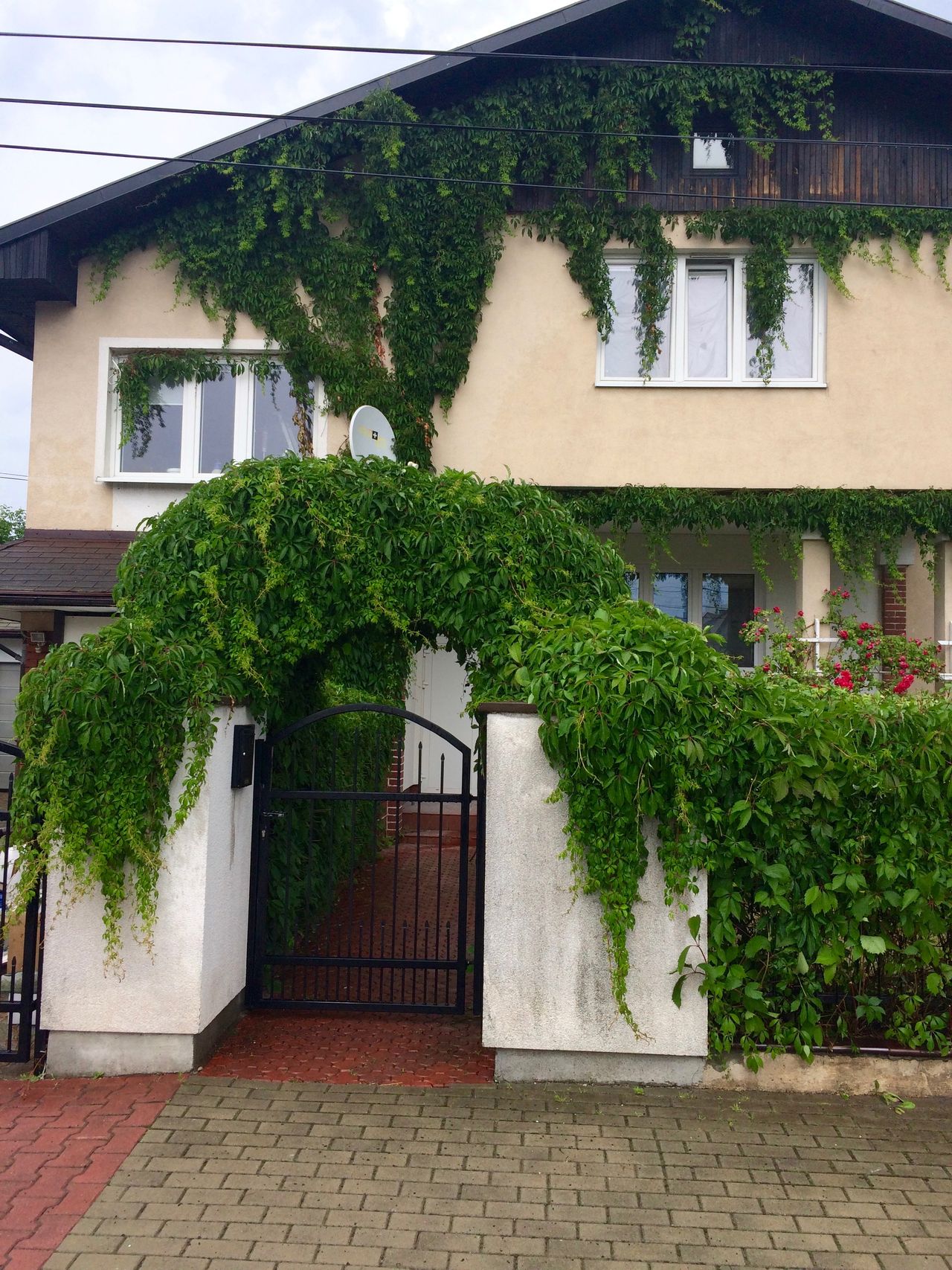 Robert Czeszkiewicz-1