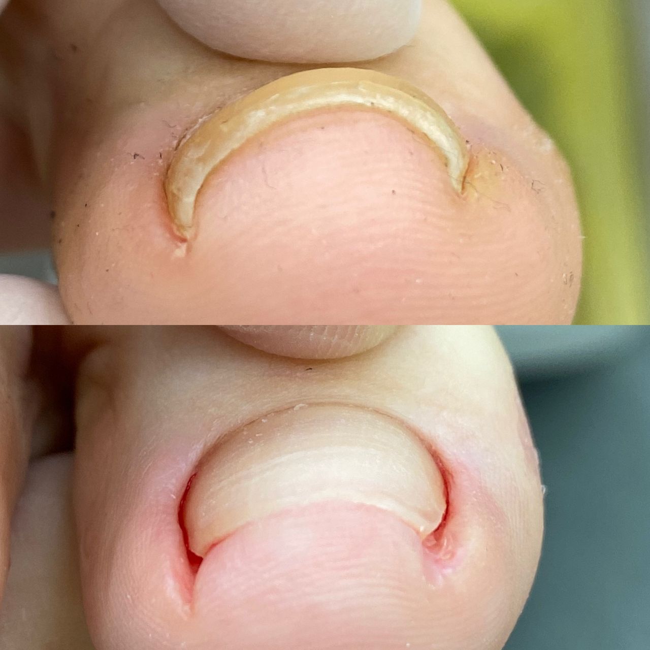 Laura Ortolá Esteve-12