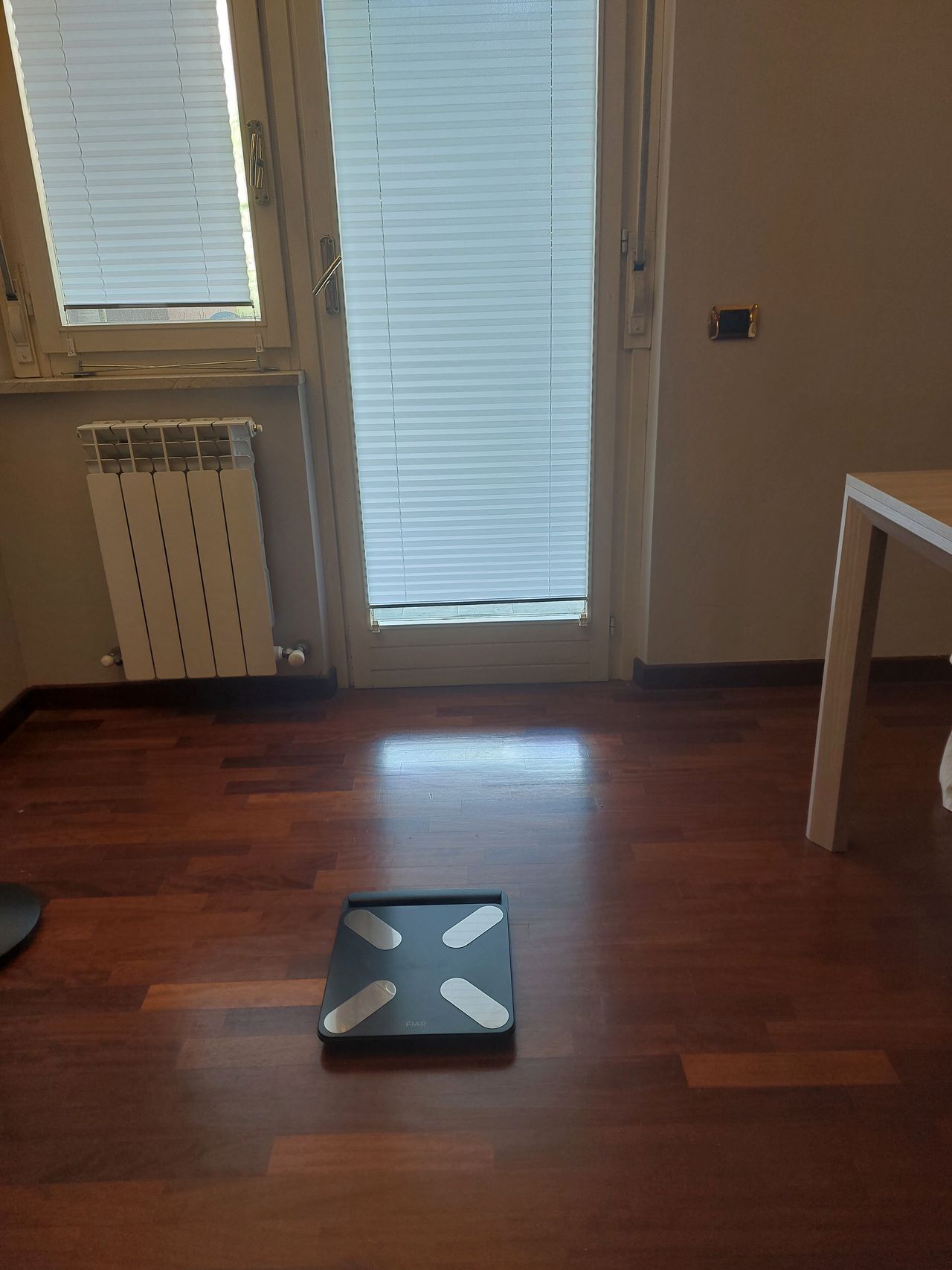 Margherita Serpolla-1