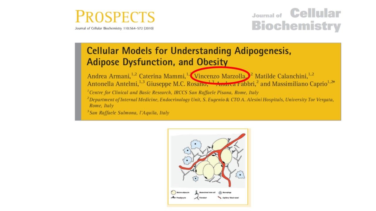 Vincenzo Marzolla-29