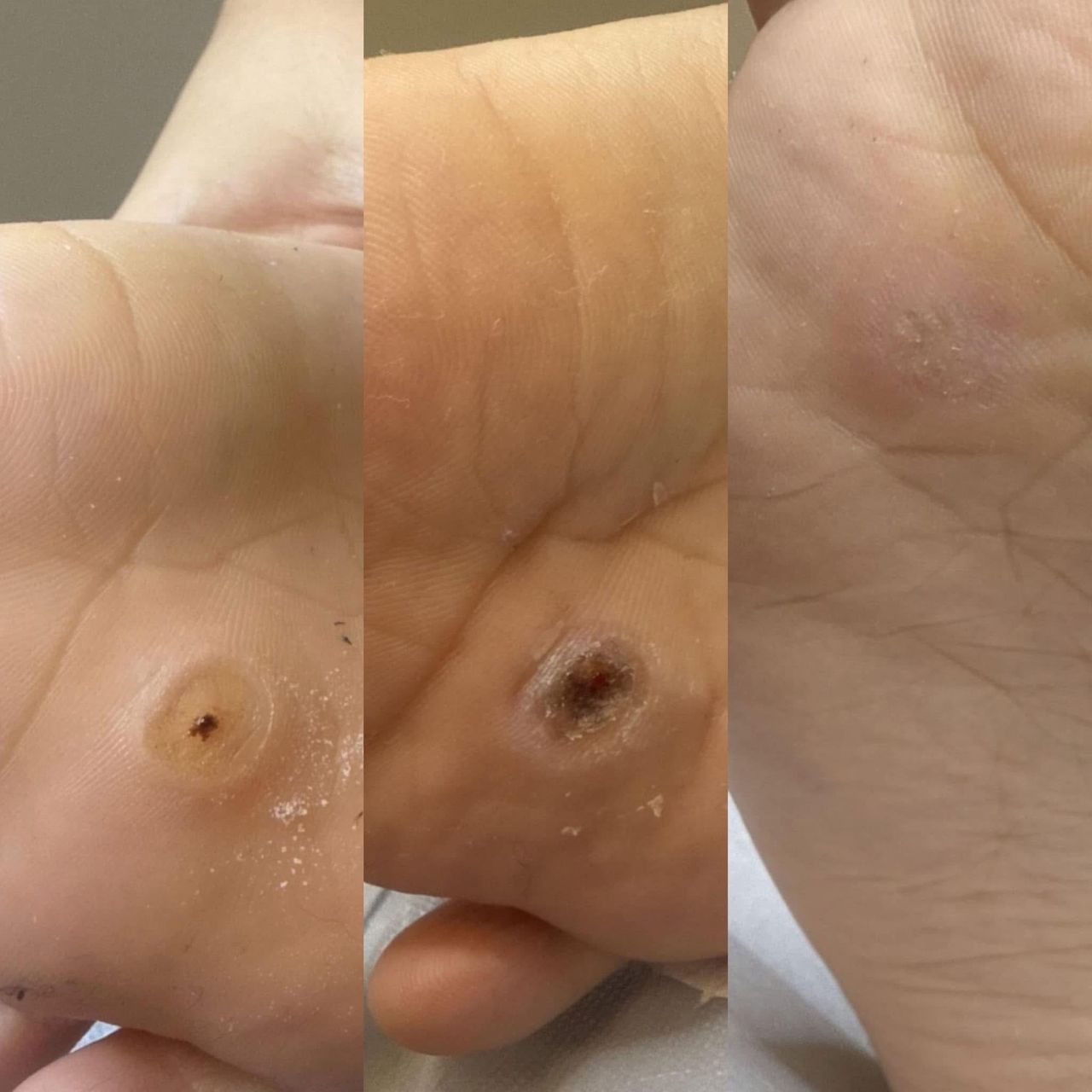 Katarzyna Wyrzykowska-26