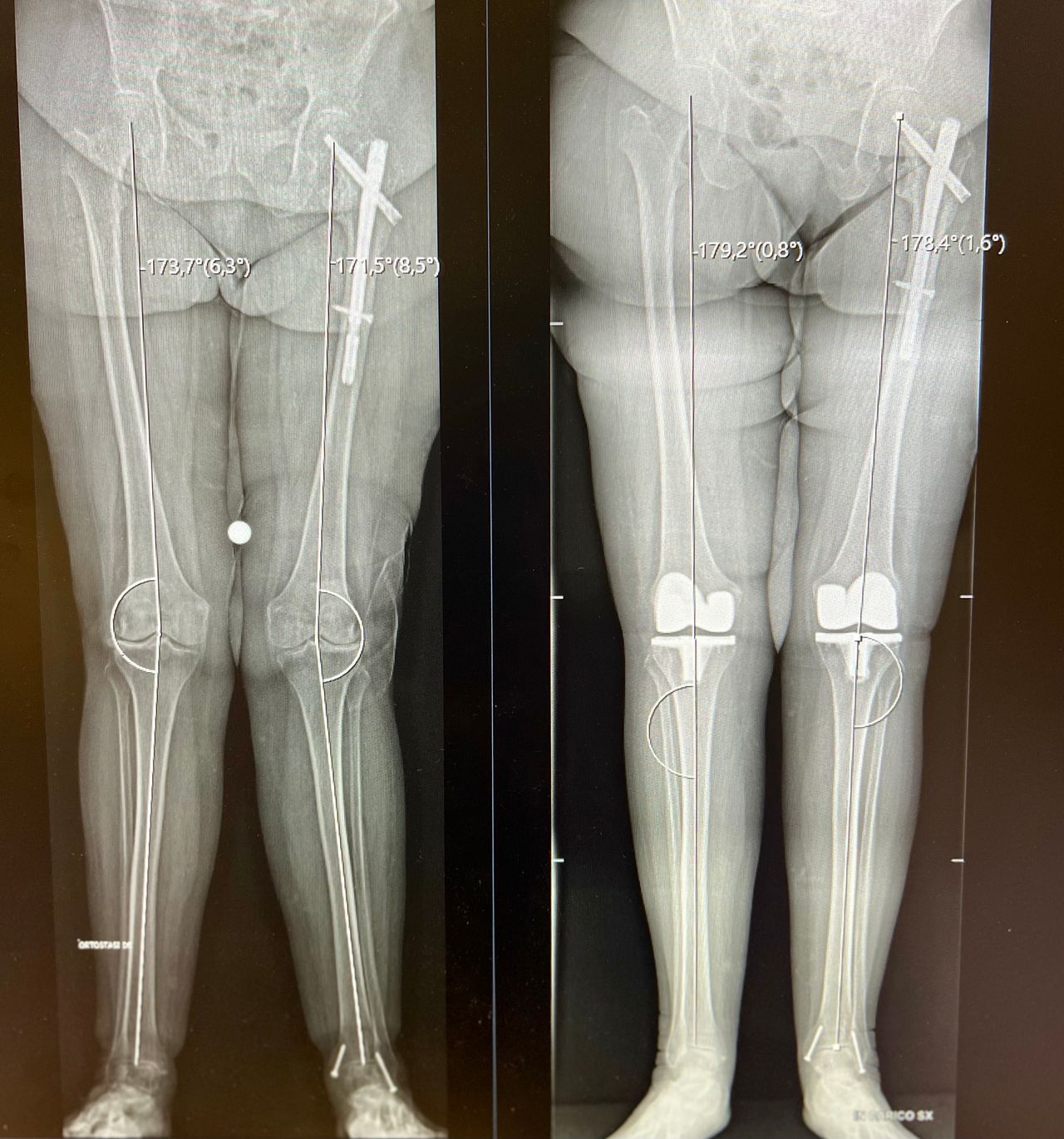 Marco Bargagliotti-2