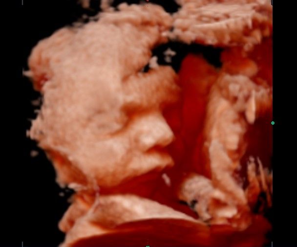 Francesca Letizia Vellucci-0