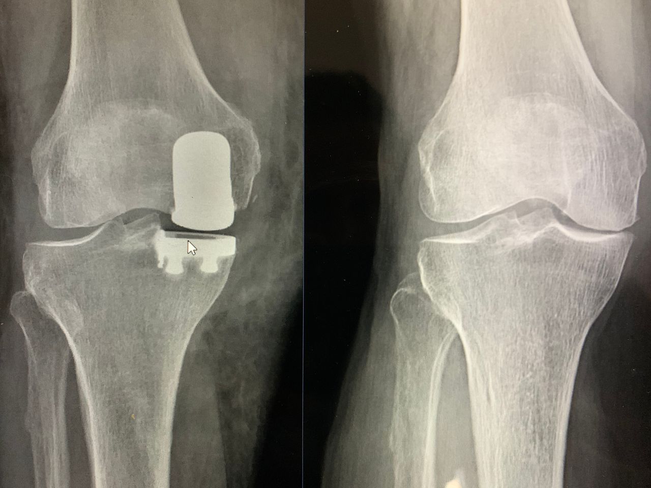 Marco Bargagliotti-4