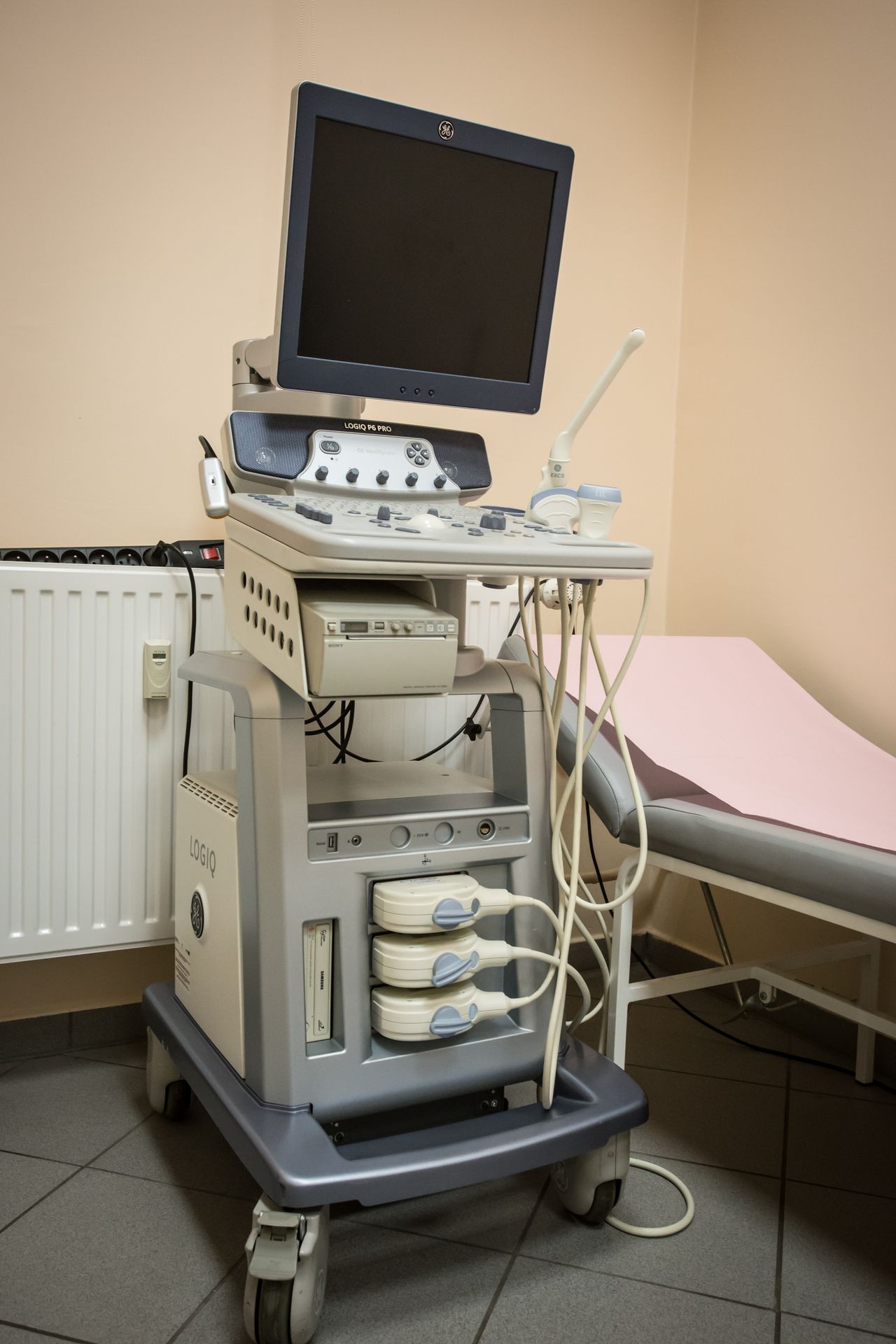 Justyna Stanisława Rembak-Szynkiewicz-5