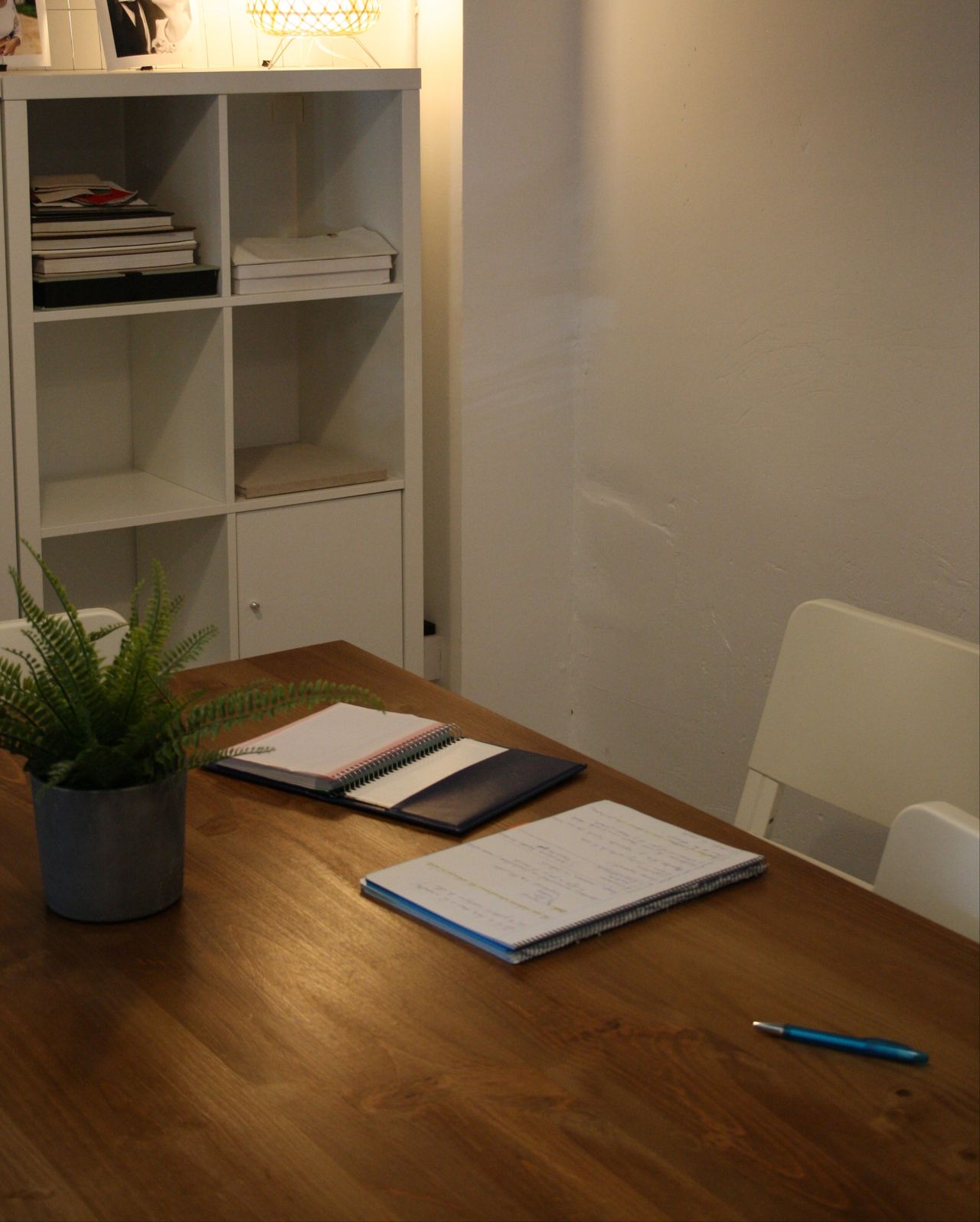 Virginia Martí Jorge-14