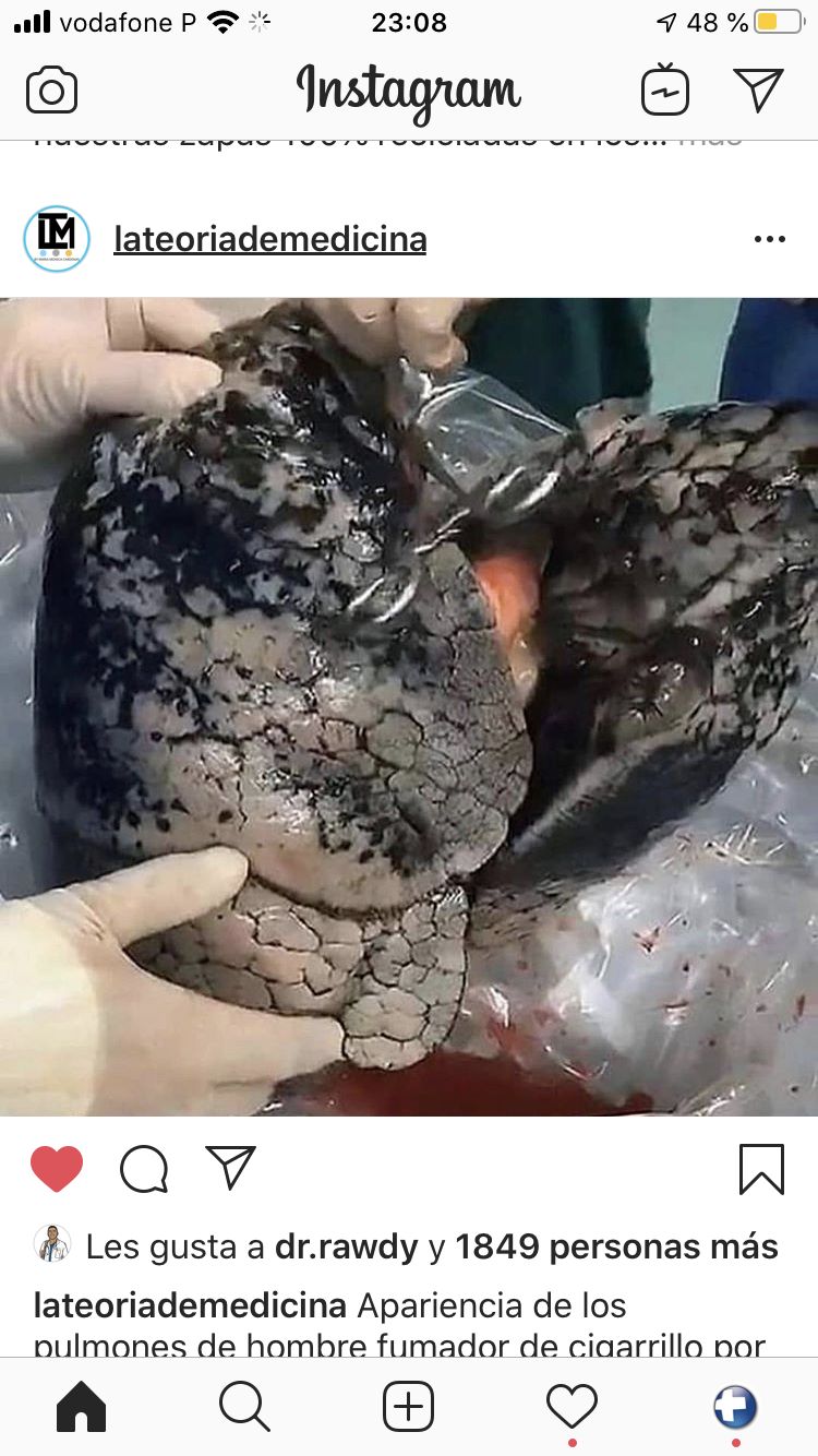 Enrique Jaureguizar Cervera-40