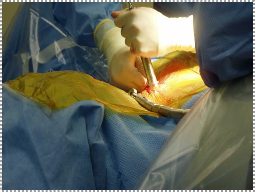 Alessandro Di Bartolomeo-8