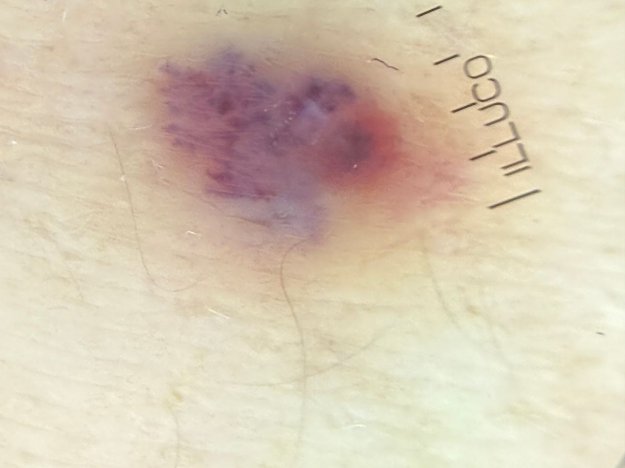 Agnieszka Snarska – Drygalska-3