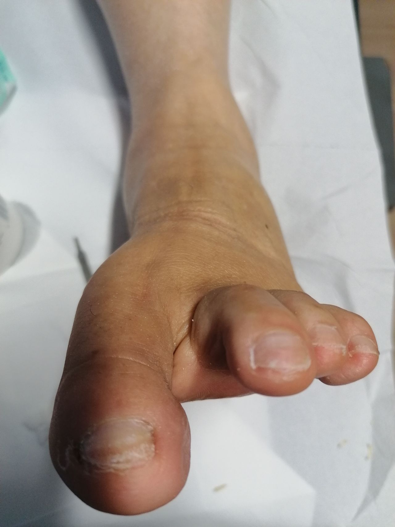 Kassandra Nicolosi-25