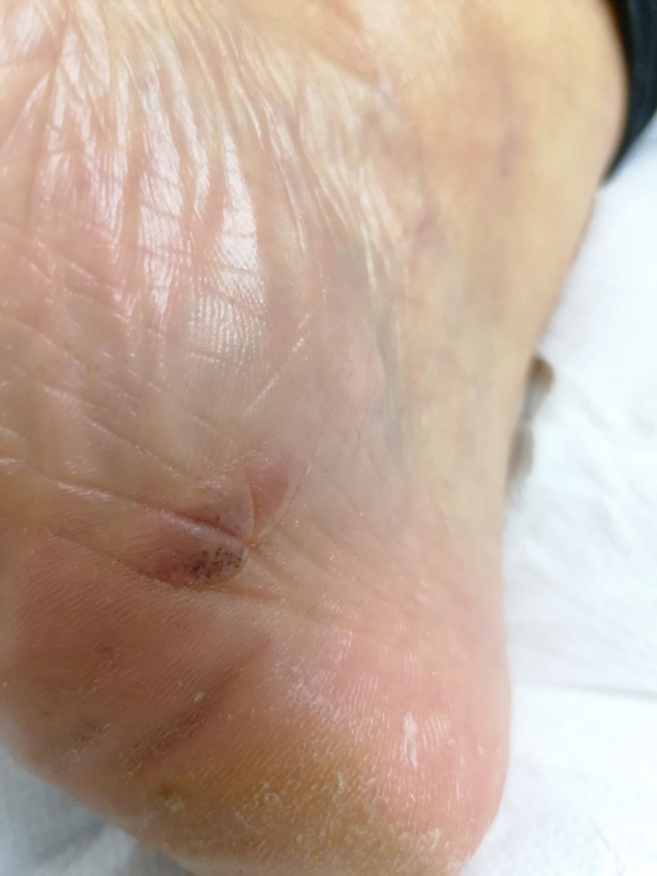 Kassandra Nicolosi-183