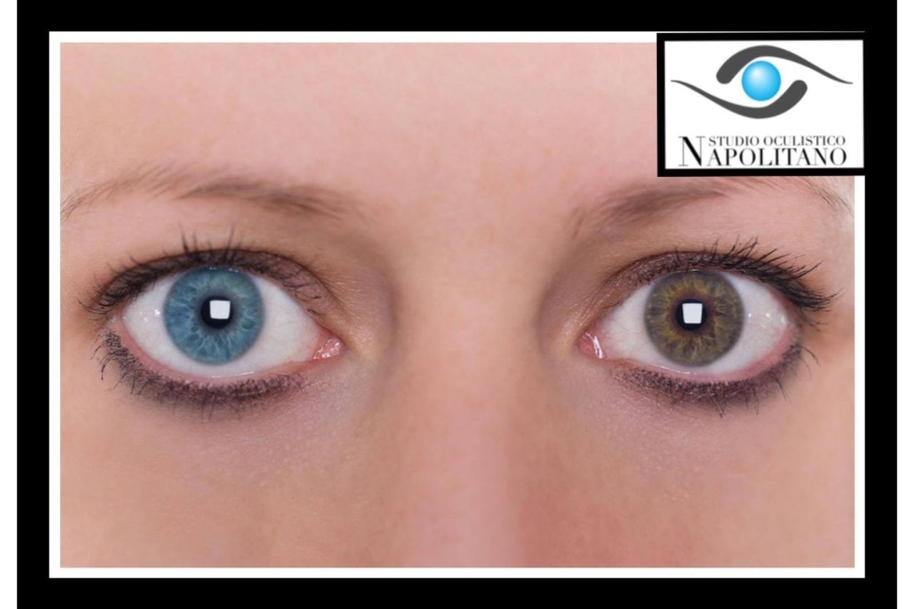 Pasquale Napolitano-14