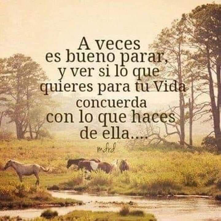 Carmen Sánchez Rodríguez-9