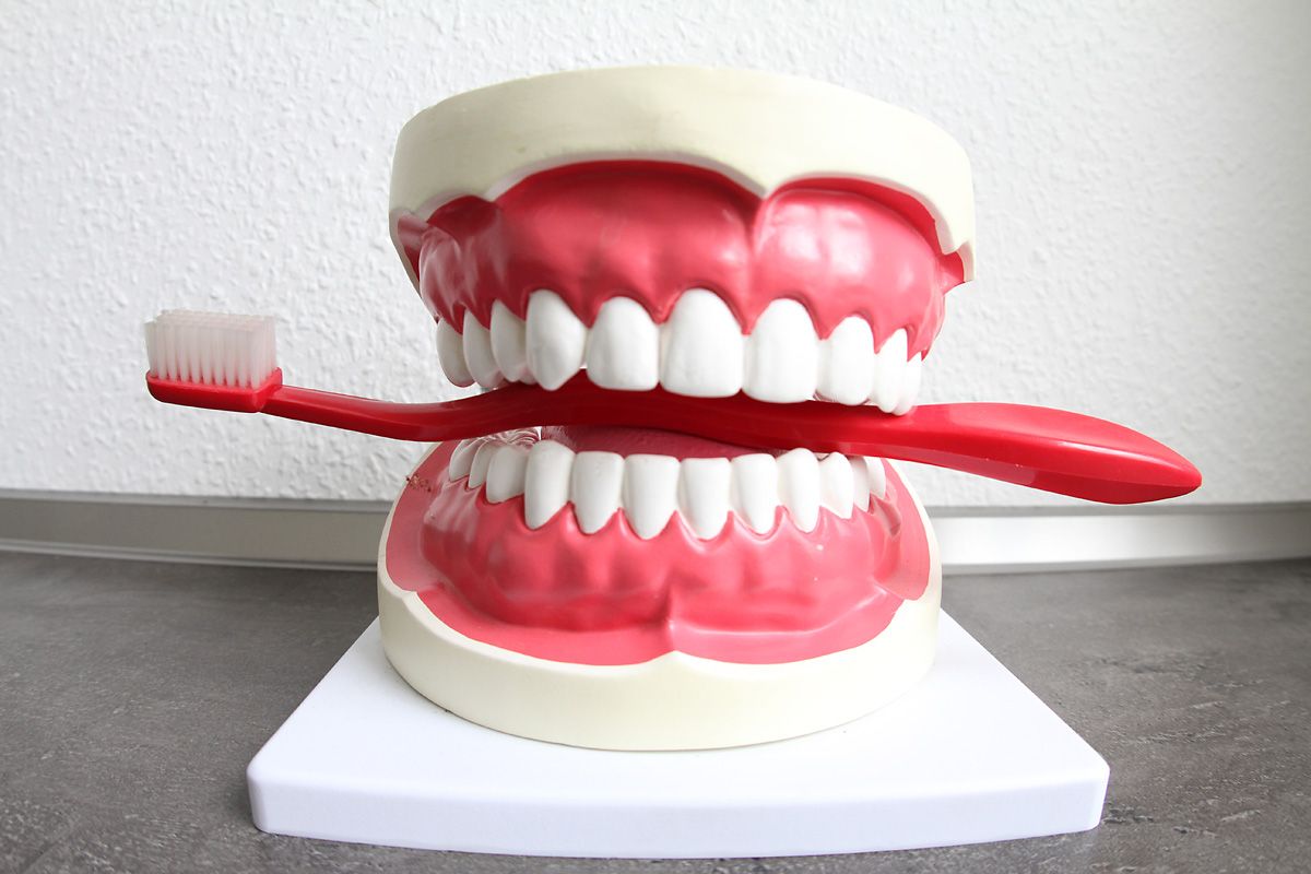 Christina Dautzenberg-3