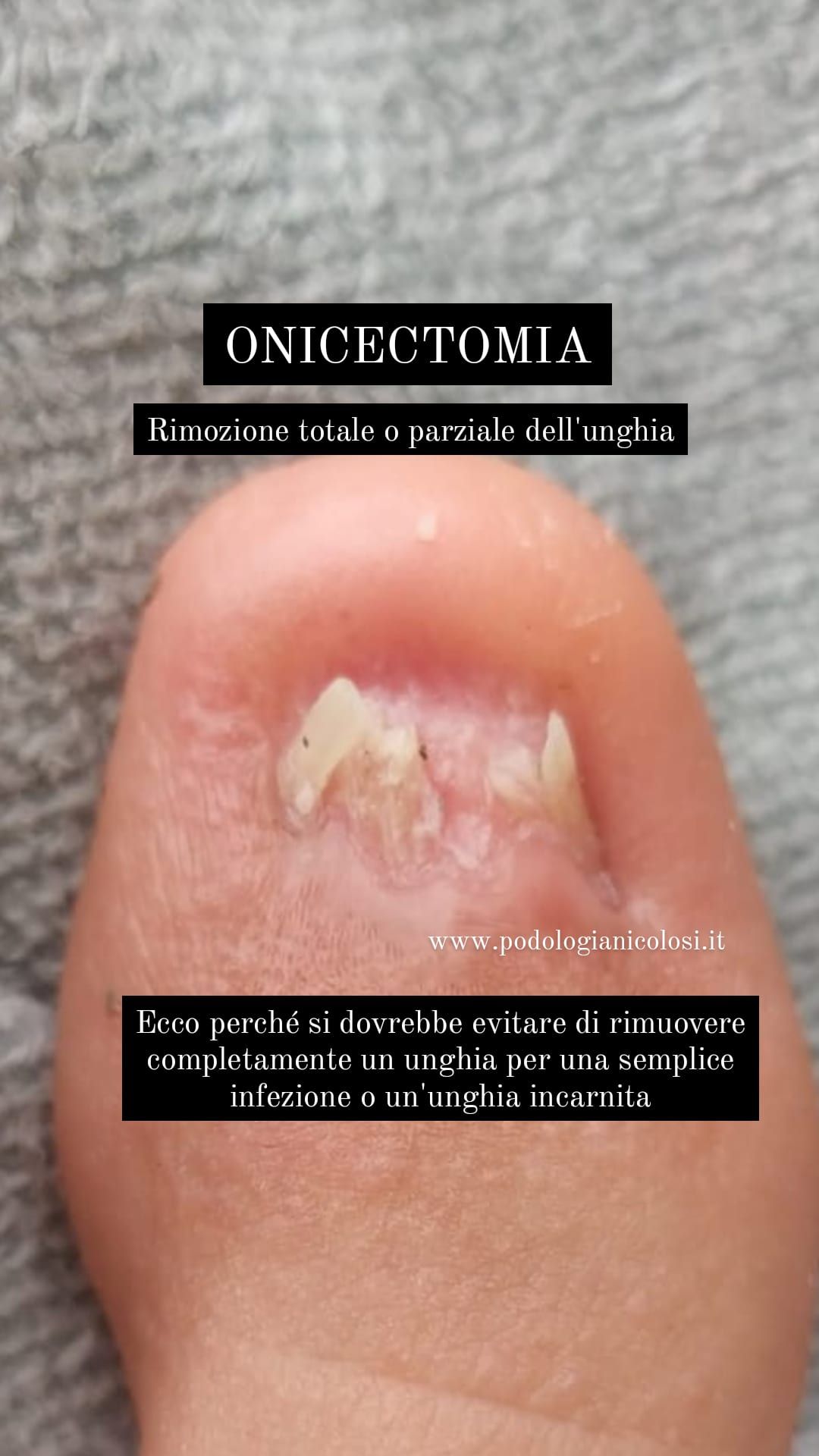 Kassandra Nicolosi-315