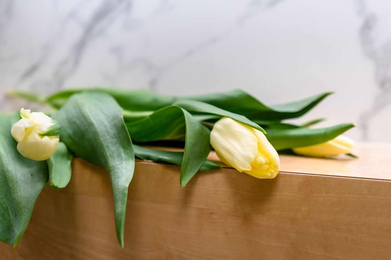 Maria Kmieć-Niedźwiedzka-3