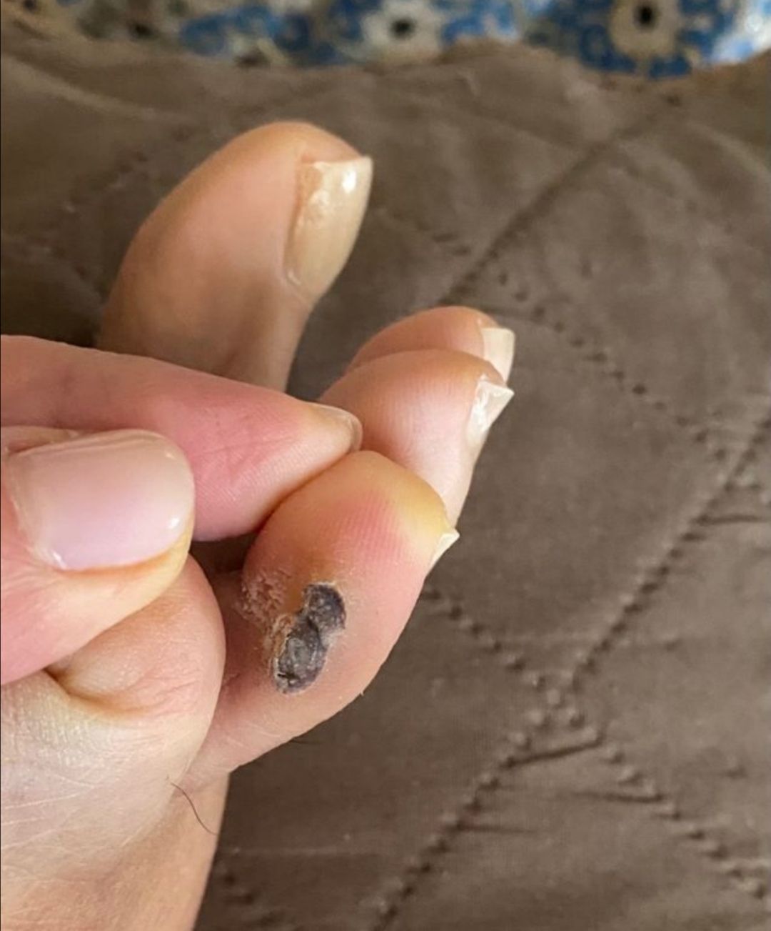 Kassandra Nicolosi-258