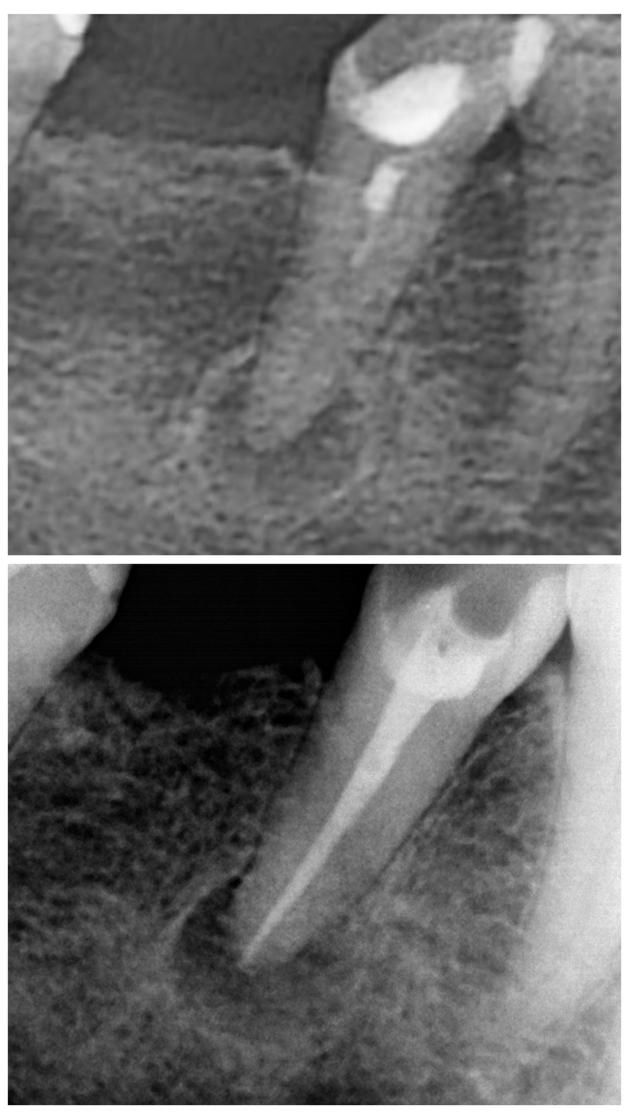 Damian Benbenkowski-5